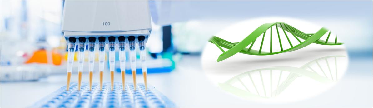 一步法DNA和RNA純化試劑盒 一步法DNA和RNA純化試劑盒