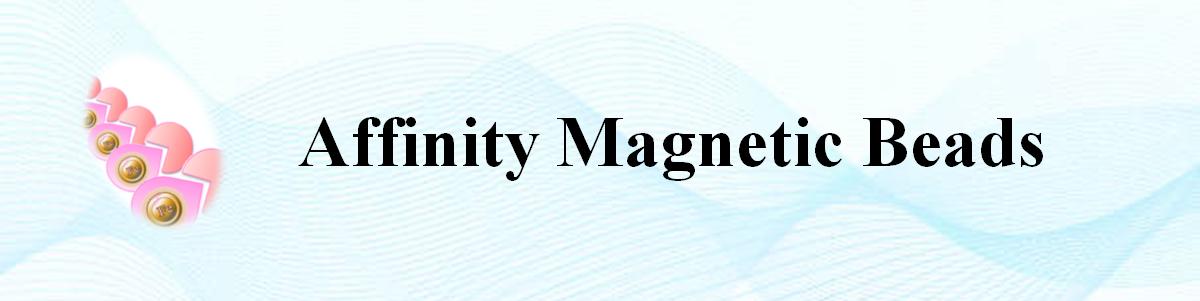 多肽結合試劑盒(II) 多肽結合試劑盒(II)