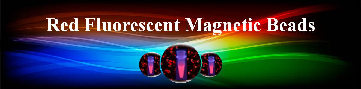 羧基釕熒光磁珠用于高靈敏度生物分子檢測 羧基釕熒光磁珠用于高靈敏度生物分子檢測
